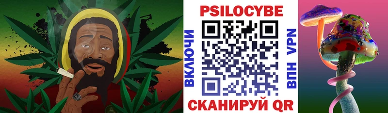 Псилоцибиновые грибы GOLDEN TEACHER Хвалынск